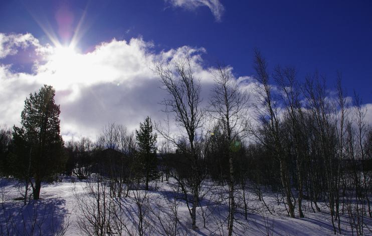 Dramatic scenery forces frequent photo stops